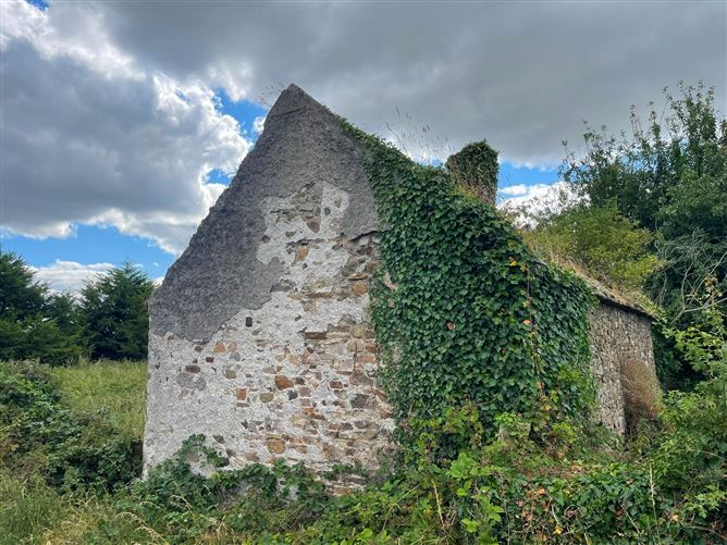 Killenaule, Co. Tipperary, Killenaule, Tipperary
