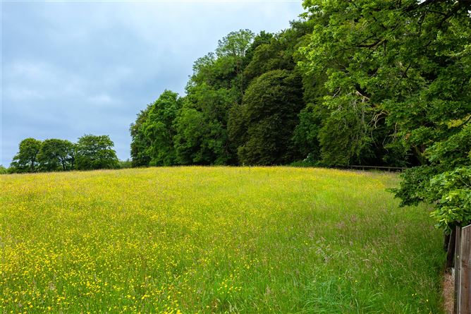 Glenmore House On c.165acres, Crossmolina, Co. Mayo