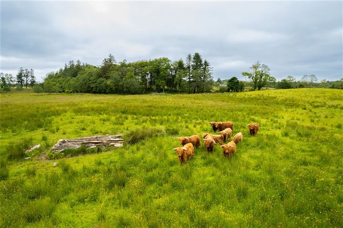 Glenmore House On c.165acres, Crossmolina, Co. Mayo