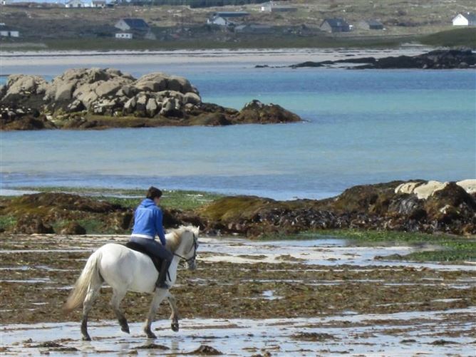 Waterside Cottage,H91Y22E, Connemara, Galway