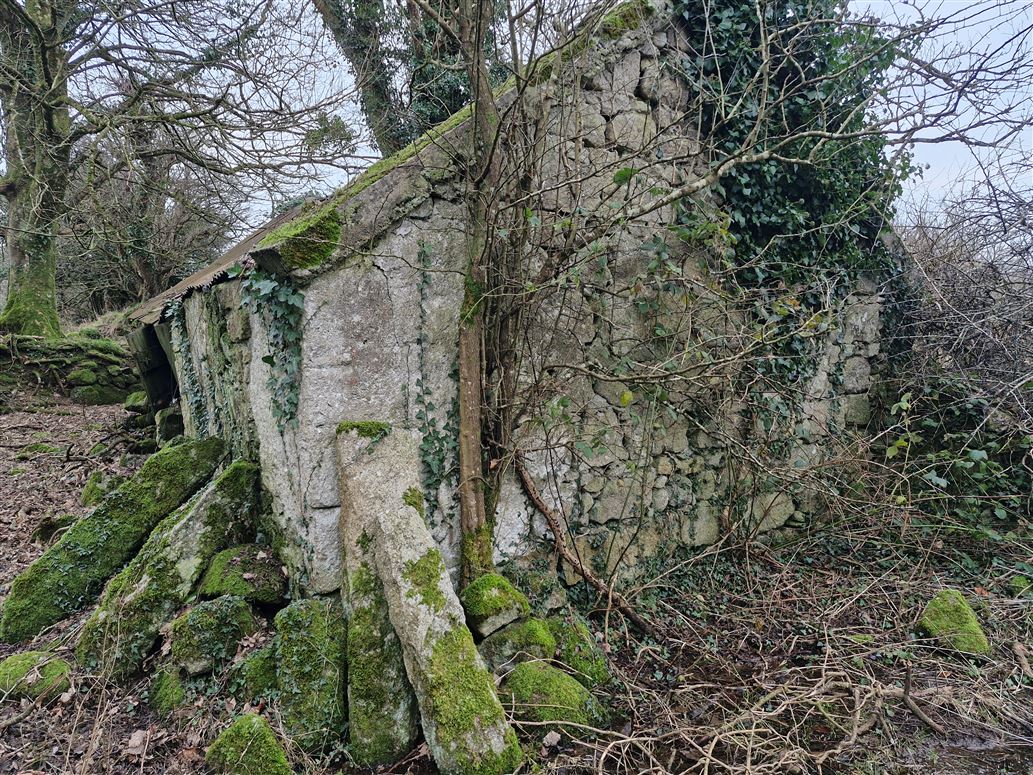 Whiterock, Tinahely, Wicklow