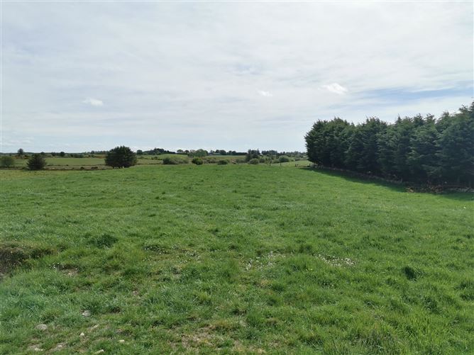 Derrynacong, Ballyhaunis, Co. Mayo
