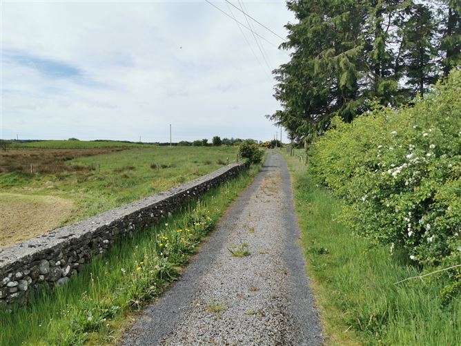 Derrynacong, Ballyhaunis, Co. Mayo