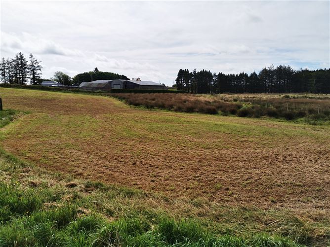 Derrynacong, Ballyhaunis, Co. Mayo