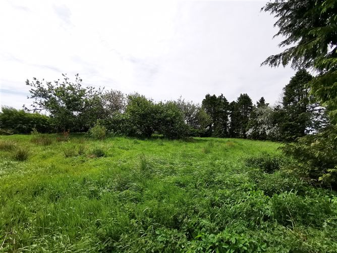 Derrynacong, Ballyhaunis, Co. Mayo