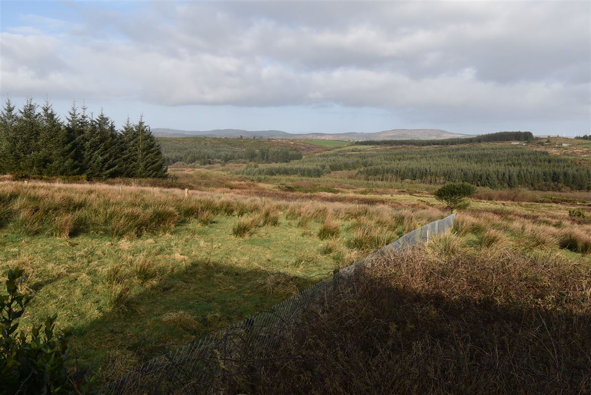 Mohanagh, Skibbereen, Cork