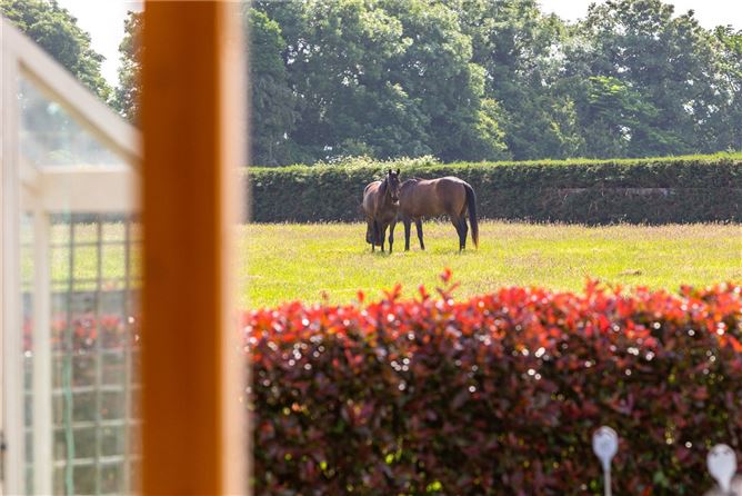 Beechwood On C. 5.51 Acres, Castledillon Road, Straffan, County Kildare