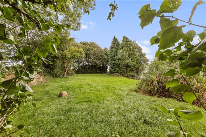 Ballyknock, Rosbercon, New Ross, Co. Kilkenny