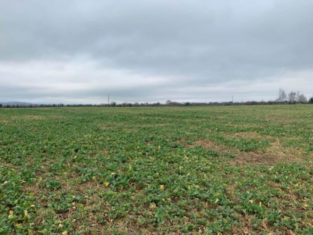 9 Acres, Boolagelagh, Ballycommon, Nenagh, Tipperary