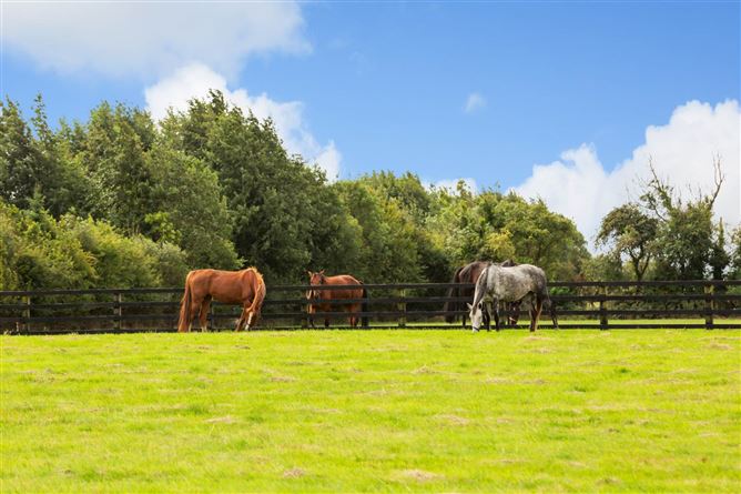 Moorefield House, Berrillstown, Tara, County Meath
