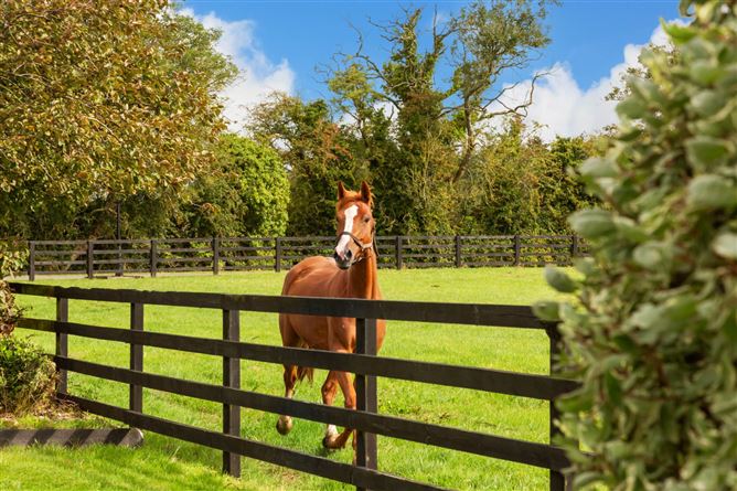 Moorefield House, Berrillstown, Tara, County Meath