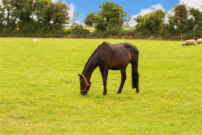 Moorefield House, Berrillstown, Tara, County Meath