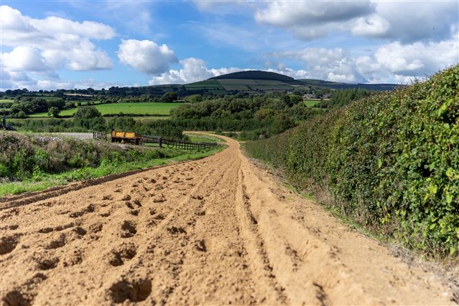 Ballyprecas, Bunclody, Wexford