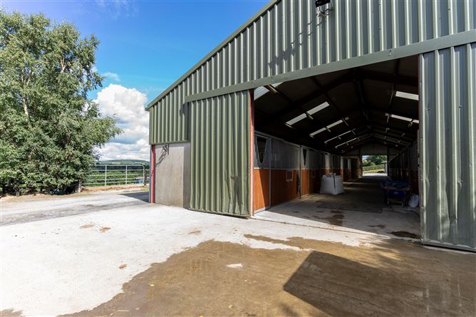 Ballyprecas, Bunclody, Wexford