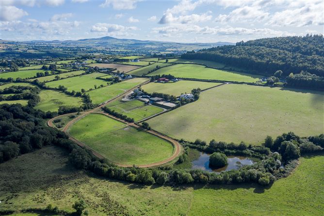 Ballyprecas, Bunclody, Wexford
