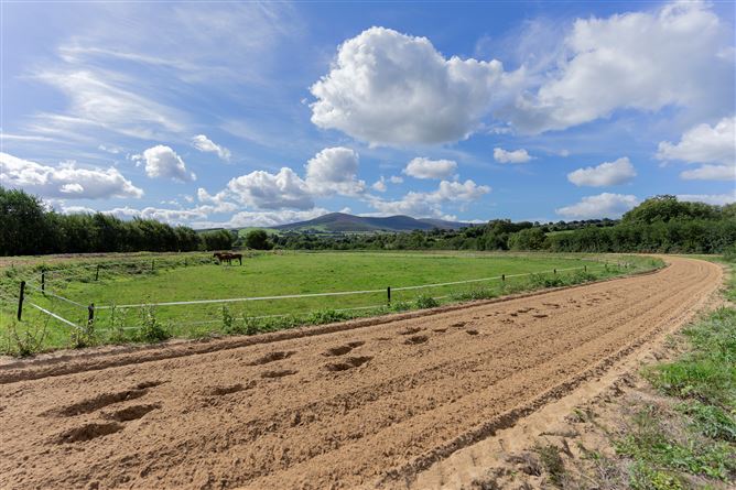 Ballyprecas, Bunclody, Wexford