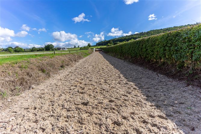 Ballyprecas, Bunclody, Wexford