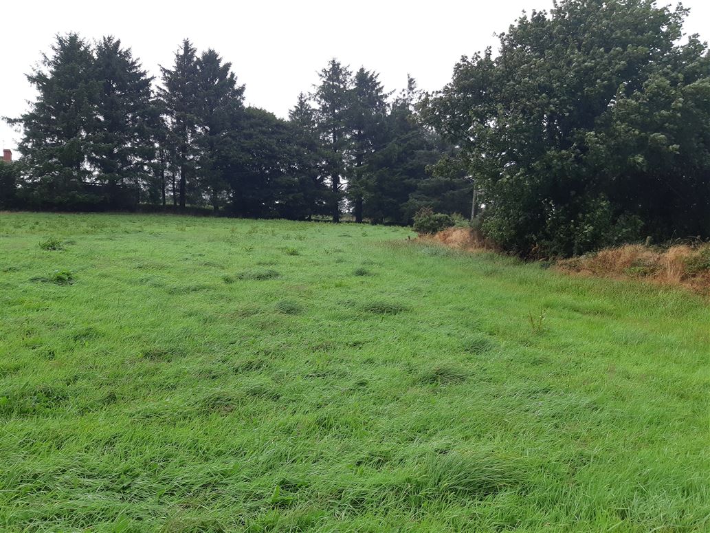 Ballinard, Ballineen,   West Cork