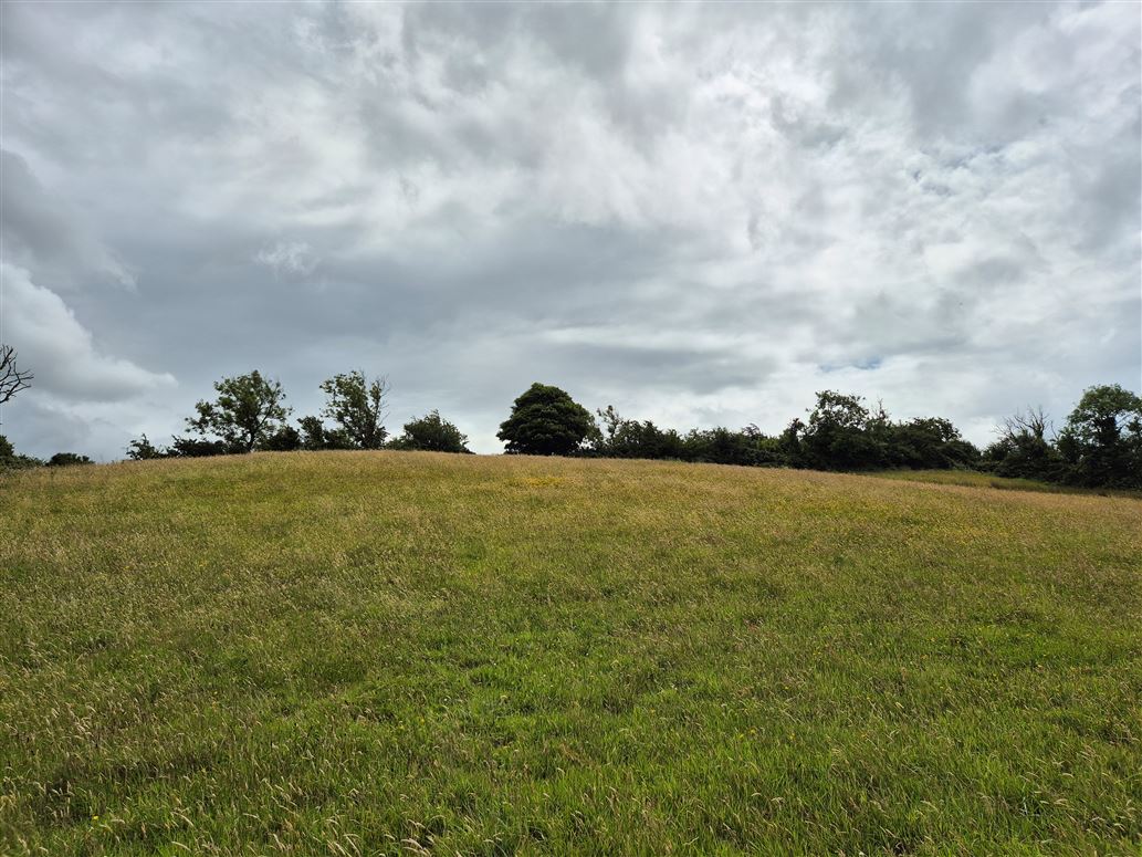 Taghart North, Shercock, Cavan