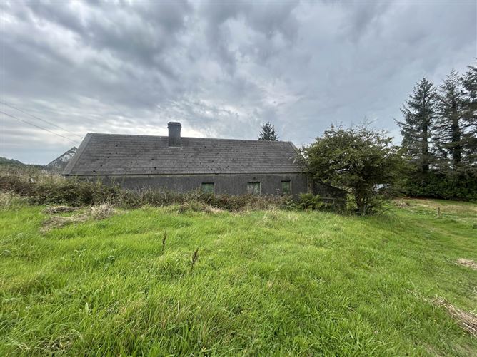 Cloonlaheen Middle, Mullagh, County Clare