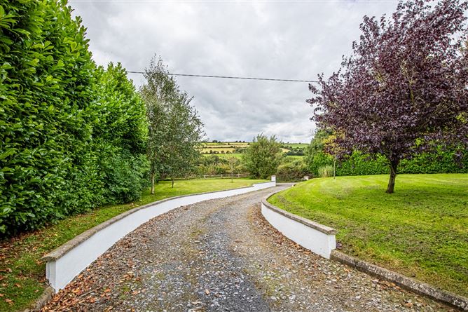 Cranemore, Kildavin, Co. Carlow