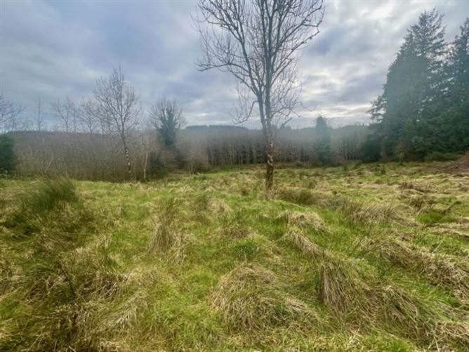 Aughoo, Ballinamore, Co.Leitrim , LMBALLIN