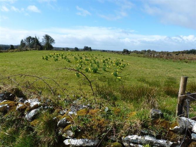 Evikeens, Boyle, Roscommon, Roscommon