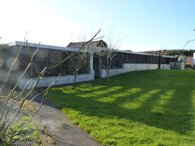 Evikeens, Boyle, Roscommon, Roscommon