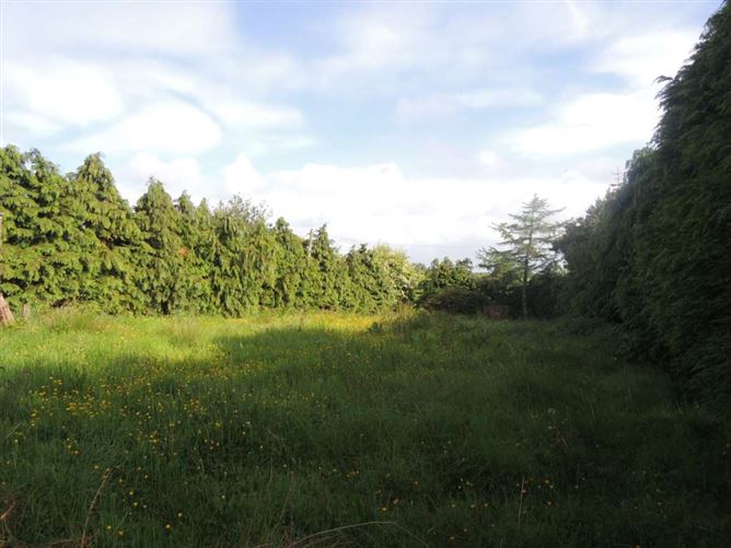 Shanglough, Knockmore, Ballina, County Mayo