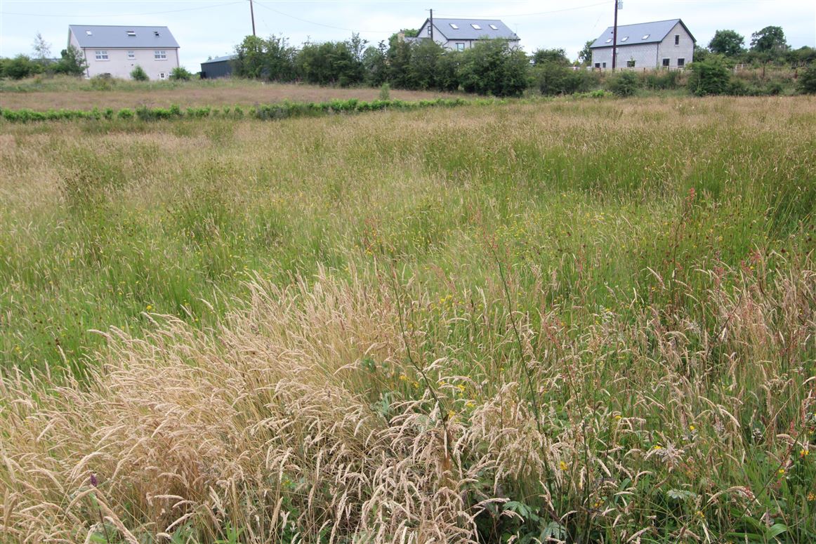 Site B Corleadargan, Castleblayney, Monaghan