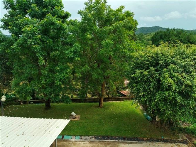 Private, Na Ton Chan, Ban Na Ton Chan, Sukhothai