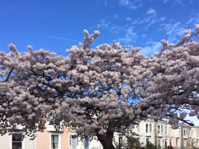 Wassenaar, 36 Royal Terrace West, Dun Laoghaire, Co. Dublin