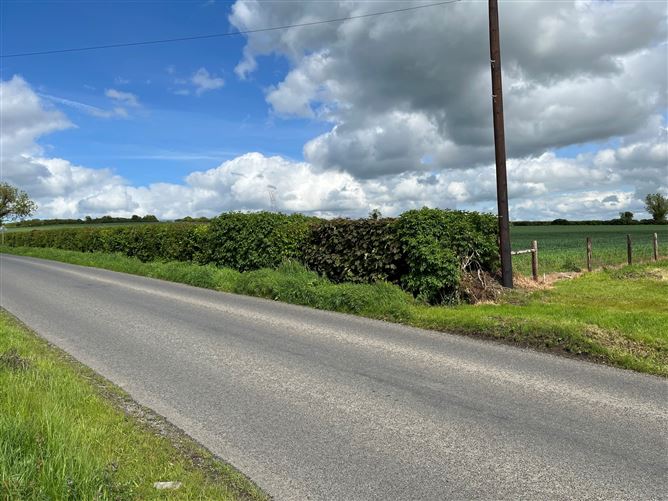 Alexanderaide, Navan, Meath