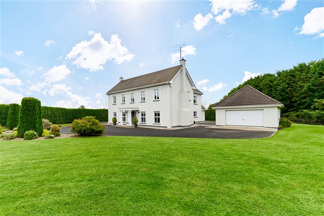 Newtownmoynagh, Trim, Meath