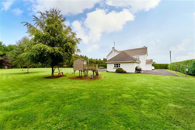 Newtownmoynagh, Trim, Meath