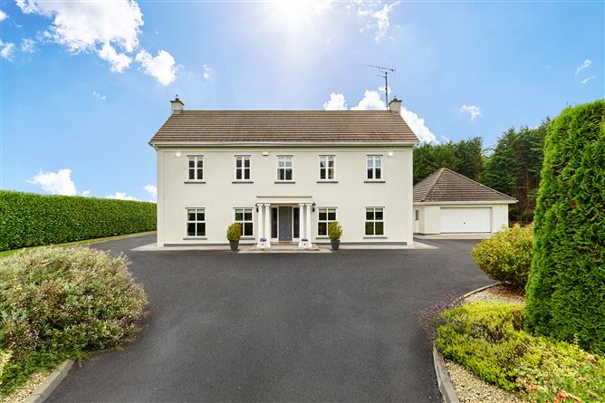 Newtownmoynagh, Trim, Meath