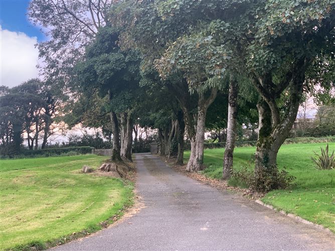 Sonny's, Ballinahoun, Kilmuckridge, Co. Wexford