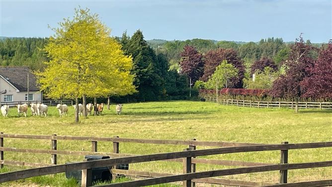 Luxury Laois Residence,