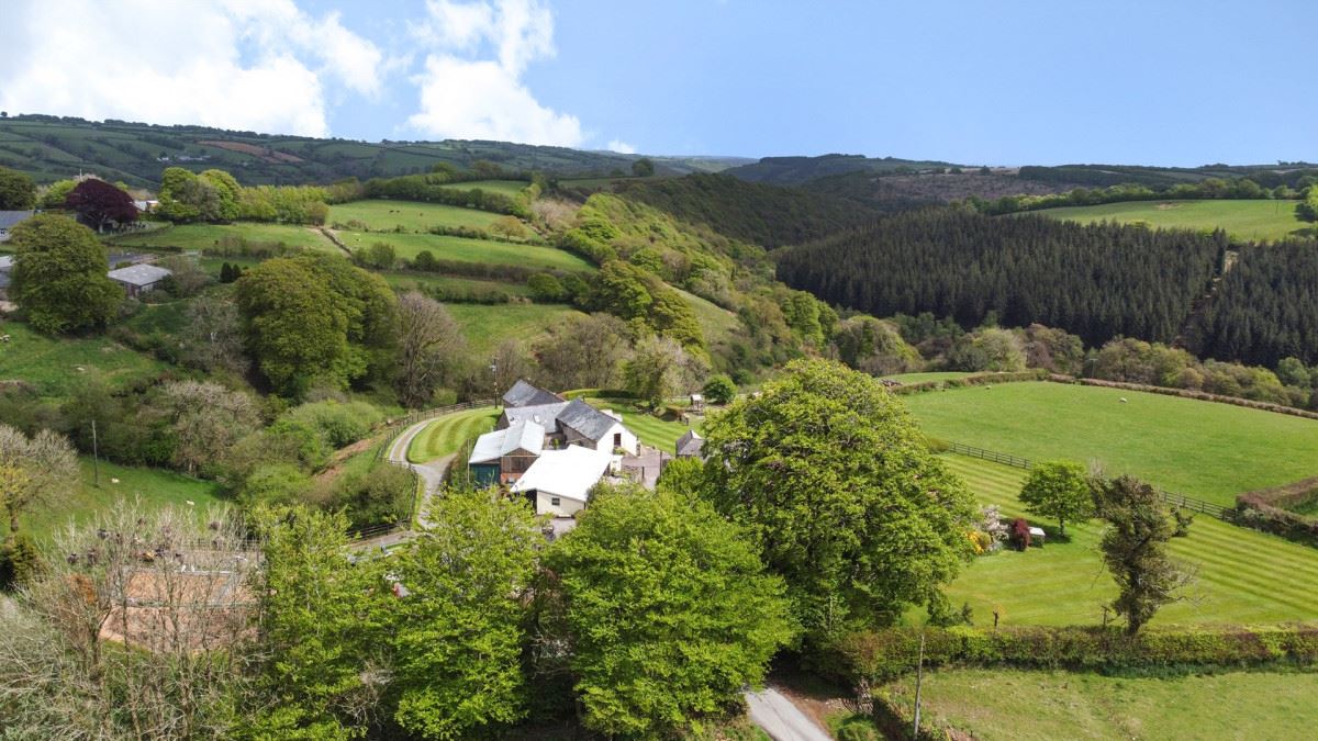 Jasper,Dulverton,Somerset,United Kingdom