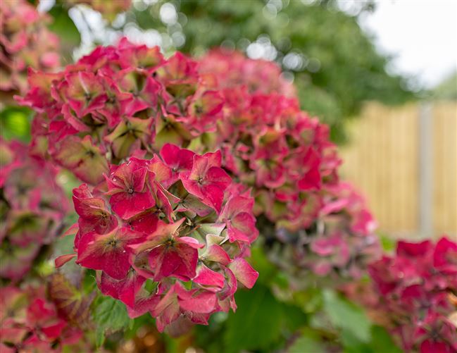 19 Oakwood Manor, Kenmare, Co. Kerry