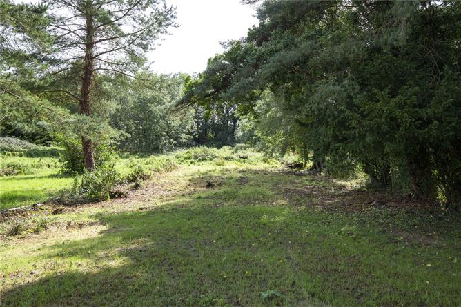 4 Drumelis, Farnham, Cavan, Co. Cavan