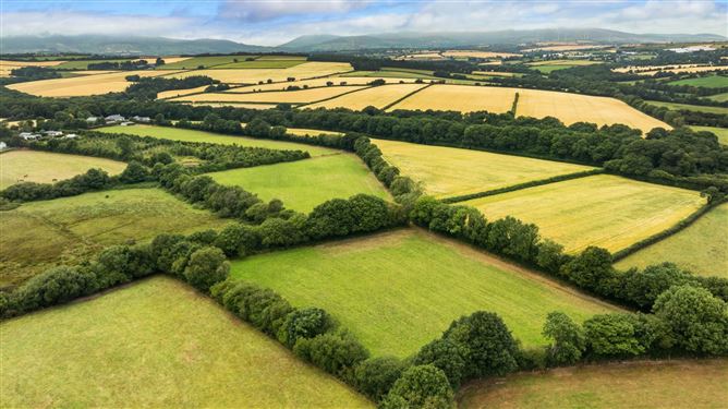 Monglass, Caim, Enniscorthy, County Wexford
