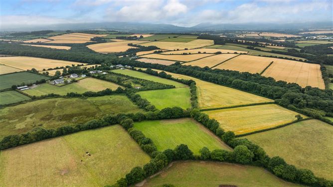 Monglass, Caim, Enniscorthy, County Wexford
