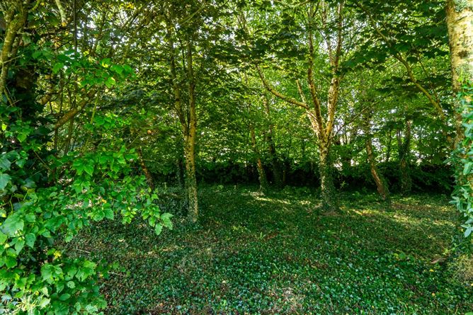 Photo 45 of 62 — Killeely More, Kilcolgan, County Galway