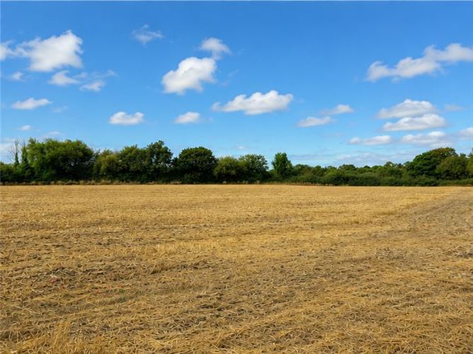c. 21 Acres, Blackchurch & Tuckmilltown, Kill, Kildare