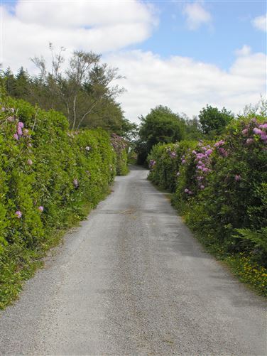 Whispering Gardens, Kylebroughlan, Moycullen, Galway