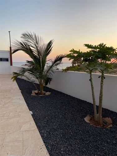 Private, Ponta Preta