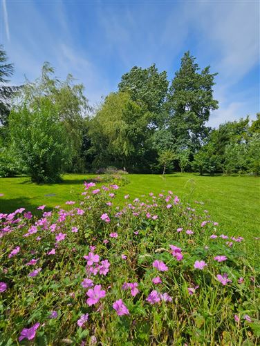 Ballindurrow, Multyfarnham, Co. Westmeath