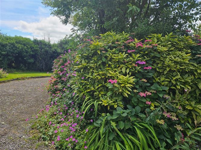 Ballindurrow, Multyfarnham, Co. Westmeath