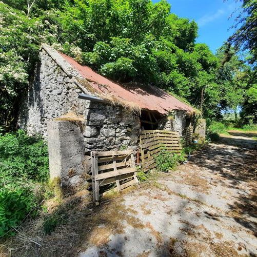 Ballyfarnagh, Knock, Mayo